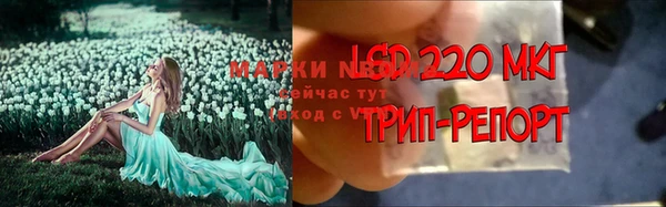 крисы Гусев