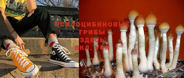 мдма Гусиноозёрск