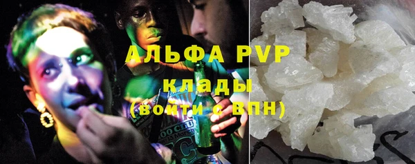 крисы Гусев